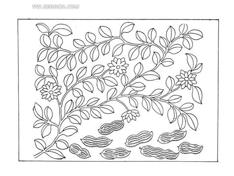 爱变的花生叶-写物作文250字【共计7则】