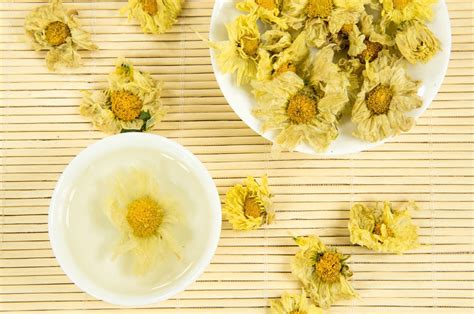 什么是菊花茶,菊花茶的品种及制作方法