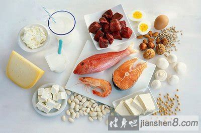 食补蛋白质有哪些食物