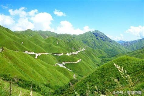 大雪山茶多少钱,临沧永德大雪山有哪些茶