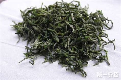 湖南安化黑茶的功效与作用是什么,安化黑茶是什么香
