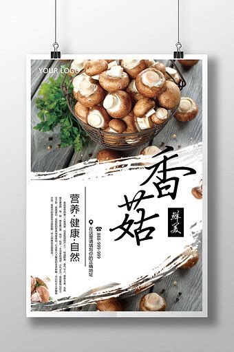 40元就能买一斤野生松茸 野生松茸菌菇图片大全