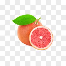 葡萄柚素材