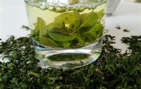 怎么用玻璃杯泡绿茶,同样是用玻璃杯泡绿茶