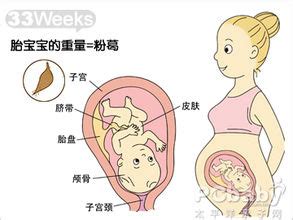 怀孕6周吃什么对胎儿好