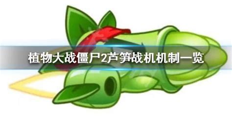 植物大战僵尸2 无尽后期 怎么打