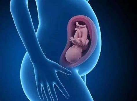 试析影响胎儿发育的因素