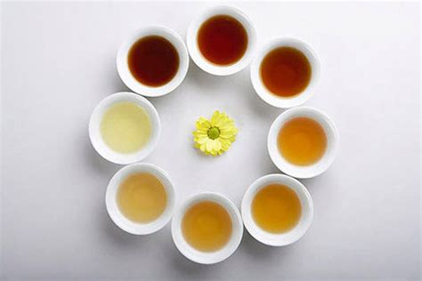 毛尖跟普洱茶哪个更能减肥,为什么很多人坚决不喝普洱茶呢
