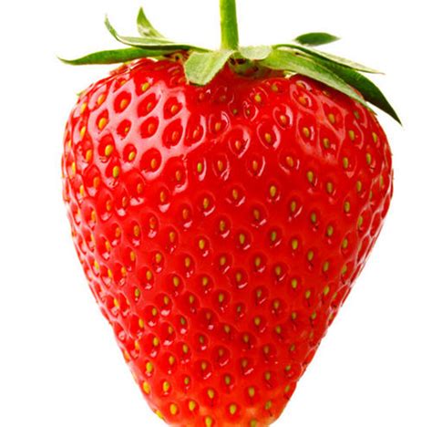 孕妇在冬天吃草莓好吗