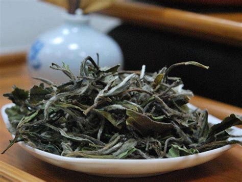 白茶是什么茶品种,品种白茶是什么