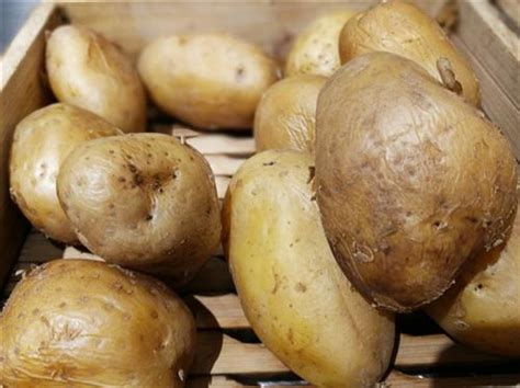 长芽变绿的土豆可以吃吗,吃了发绿的土豆怎么解毒