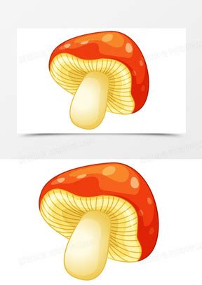 姬松茸菇的图片,魅力四射的蘑菇