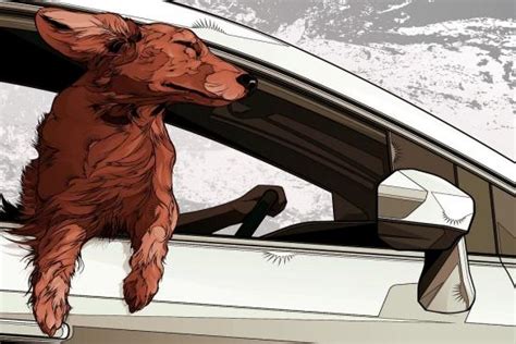 为什么狗狗喜欢坐车呢,狗狗为什么喜欢坐车