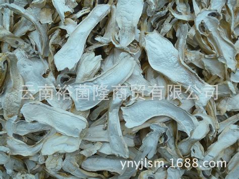 云南松茸菌菇特产 贵州特产松茸菌