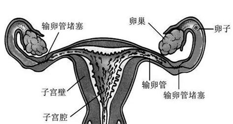 河南师范大学怎么样头发颜色,河南师范大学怎么样