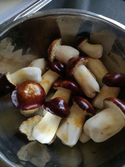 鲜松茸的六种实用做法 云南新鲜松茸怎样吃