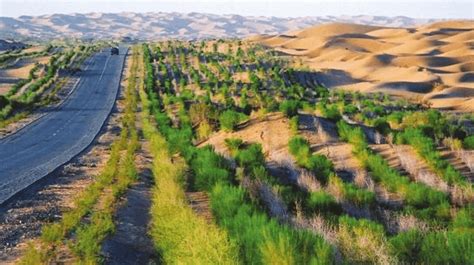 世上最大治沙工程，让沙漠变绿洲，外国网友：中国治沙人真伟大
