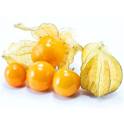 6个月的小孩能不能吃姑娘果