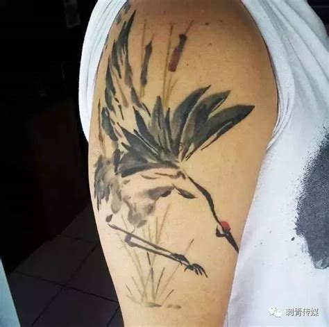 鹤纹身有什么含义,仙鹤纹身手稿推荐