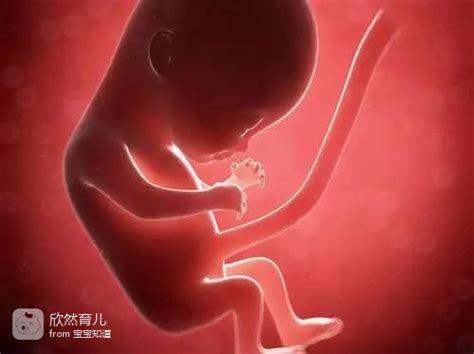 孕妇梦见胎儿在肚子里拳打脚踢