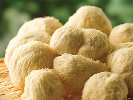 松茸 头菇粉,新鲜松茸菇的做法