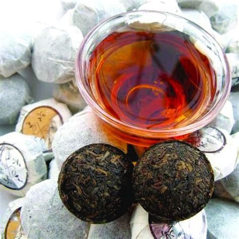云南普洱烟茶哪里有卖,易武高山寨古树普洱茶的特点