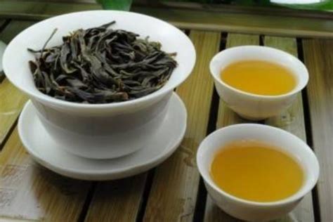 李冰茶属于什么茶种,单枞冰茶属于什么茶