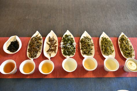 喜茶成功的六大要素,什么是茶的六大要素