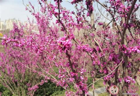 无接触快递架死件越来越多是怎么回事