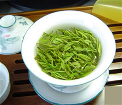崂山绿茶哪里卖的好,秋季的崂山绿茶