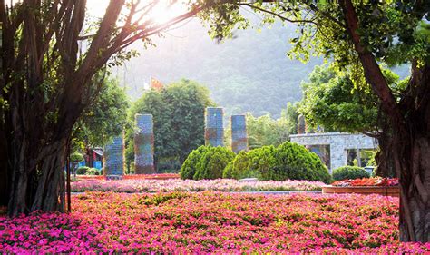 请问在江西宜春地区适合种植哪些花草,或药材?