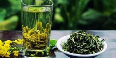 绿茶有哪些口感类型,减肥期间有哪些低脂又好吃的方便食物