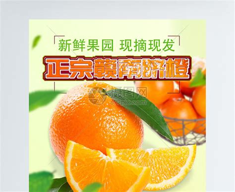 自家種的臍橙有什么好的推廣渠道呢?
