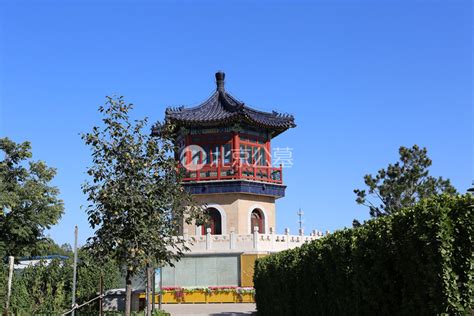 八宝山是指哪八种宝?