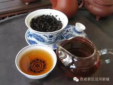 大红袍属于什么茶,金茯茶是属于什么茶