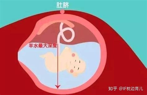 孕妇睡觉胎儿在做什么