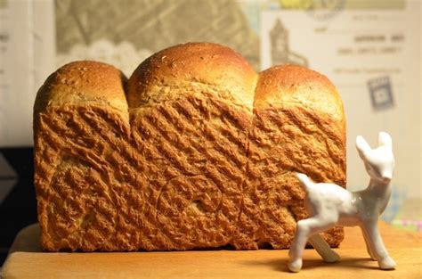 自制全麦面包的家常做法,全麦面包 怎么做 发酵