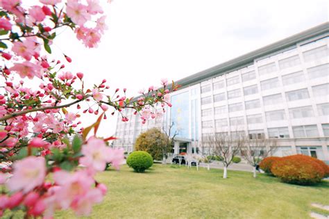 春光无限好句子