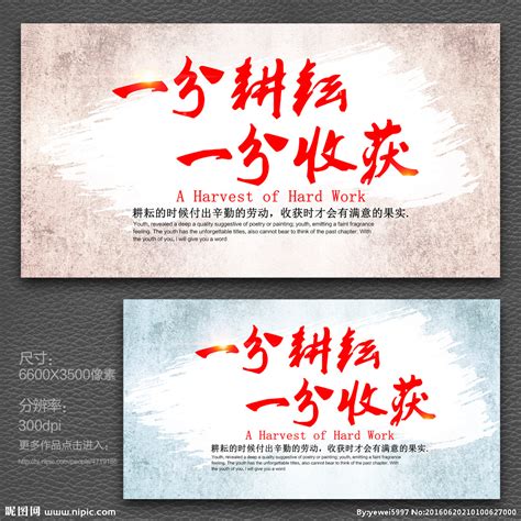 表达付出却没有收获的诗句