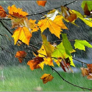 秋雨的心情经典句子【合计108条】