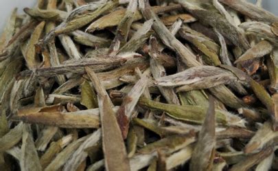 中国十大名茶之一的“白毫银针”原产地在哪个省?