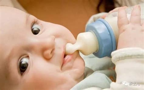 新生儿吃奶量标准