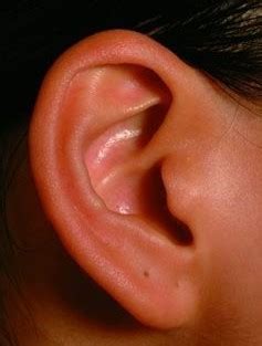 耳朵小适合带什么耳坠,适合哪种耳坠