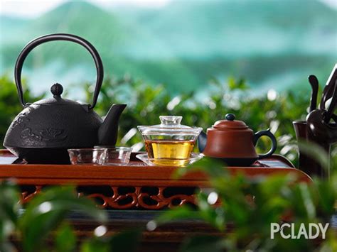 什么茶叶保健功效最佳,一年四季应喝什么茶
