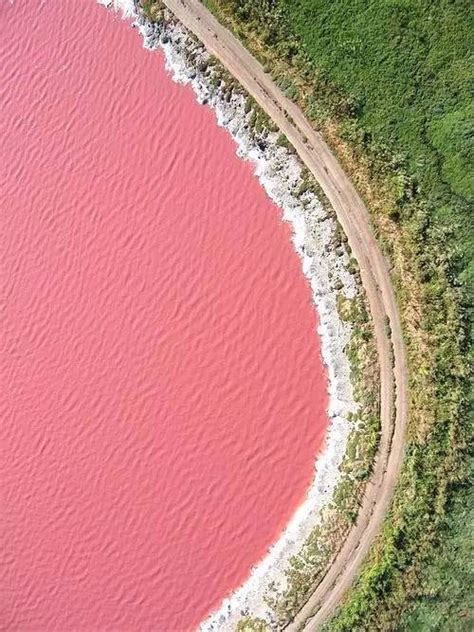 大自然的少女心-澳洲粉红湖