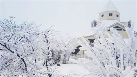 初冬雪景图片加句子