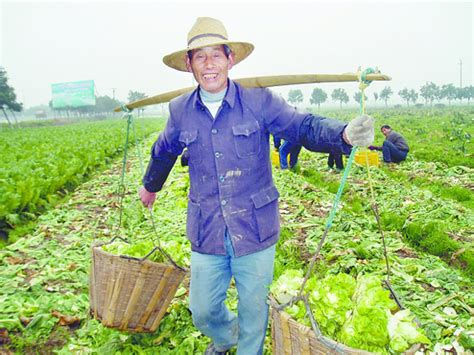 什么是莫桑石钻,莫桑石是什么