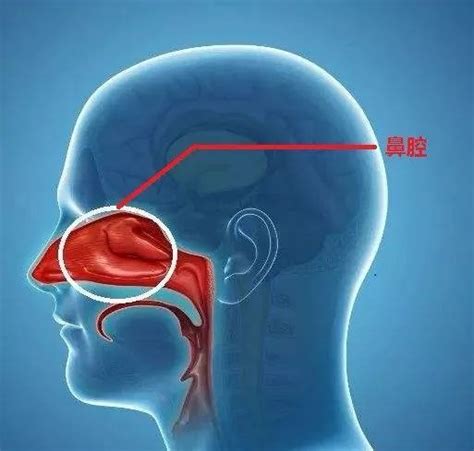 鼻窦炎怎么判断鼻涕倒流