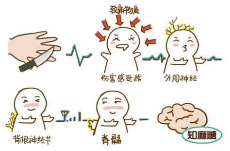 准备顺产需要注意什么