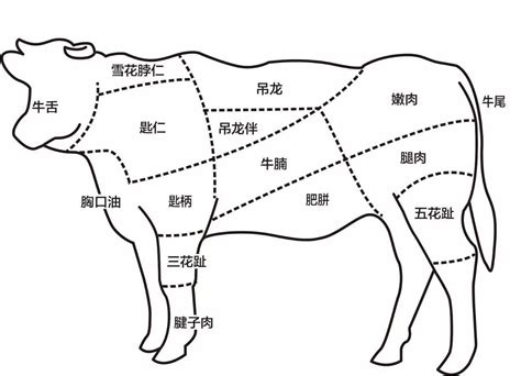 潮汕牛肉涮肉怎么做好吃,在铜火锅里涮潮汕牛肉